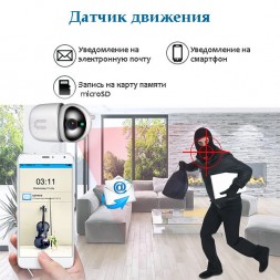 WiFi камера 2Мп с удаленным доступом VNI41 